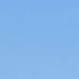 20261001 1127530 150x150